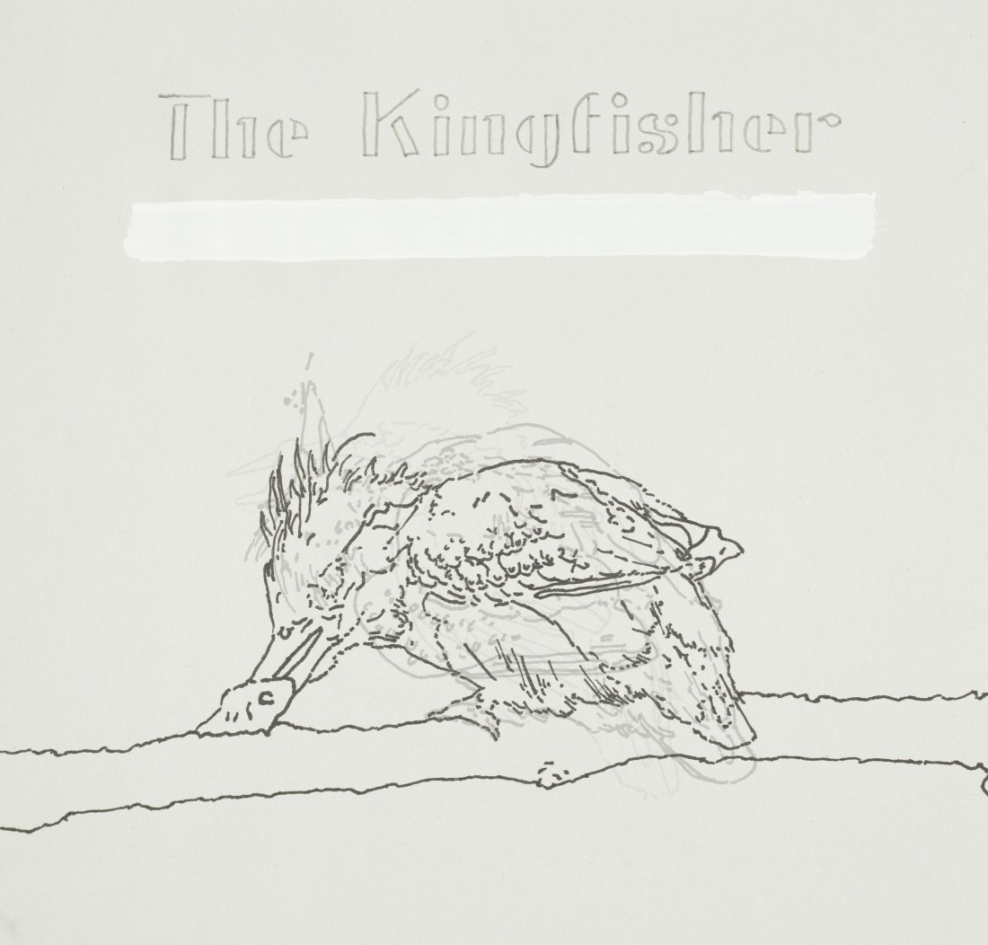 kingisher_bw_finished